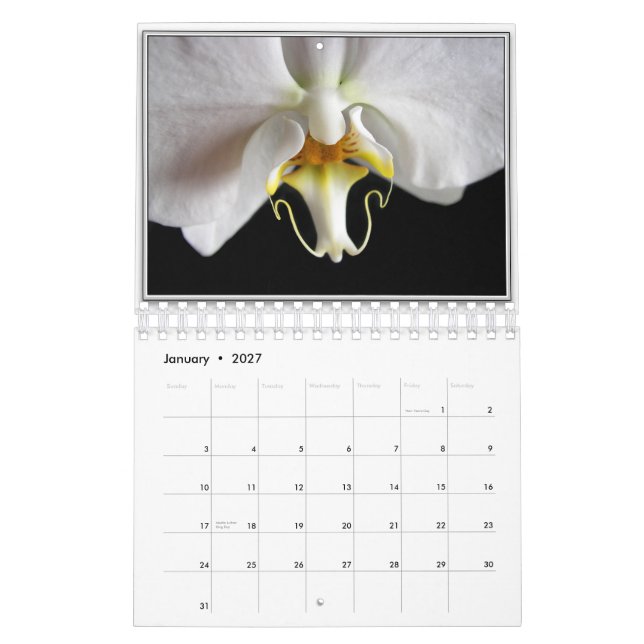 ORCHIDS 2011 KALENDER (Jan 2027)