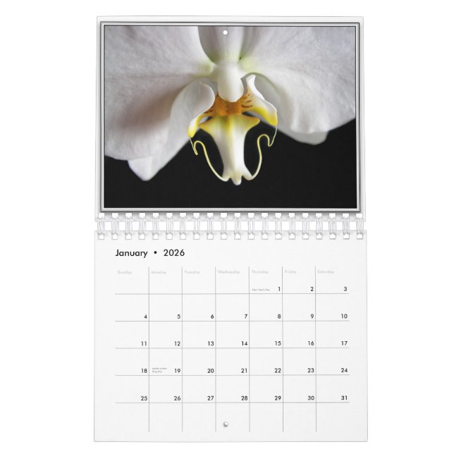 ORCHIDS 2011 KALENDER (Jan 2026)
