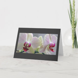 Orchids #2 kort