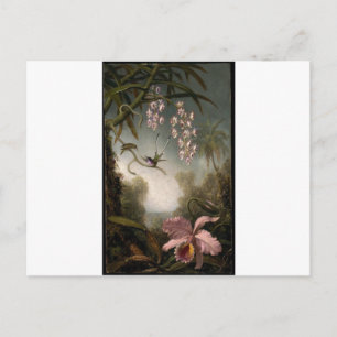 Orchids and Spray Orchids with Hummingbird by Mart Vykort