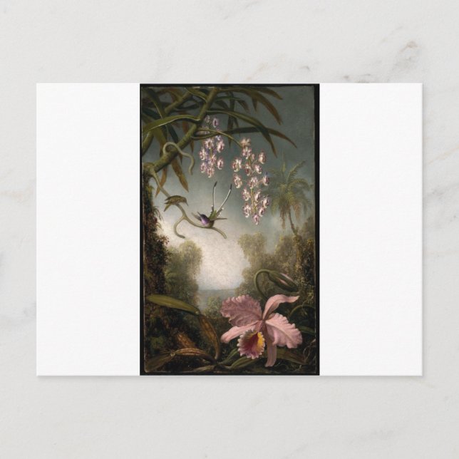 Orchids and Spray Orchids with Hummingbird by Mart Vykort (Framsida)