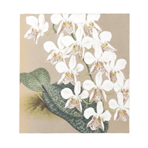 Orchids Anteckningsblock