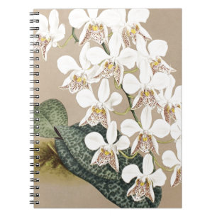 Orchids Anteckningsbok Med Spiral