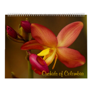Orchids av den Colombia kalendern 2013 Kalender