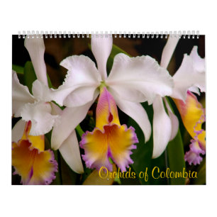 Orchids av den Colombia kalendern 2013 Kalender