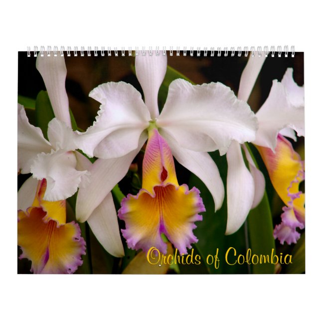 Orchids av den Colombia kalendern 2013 Kalender (Omslag)