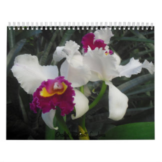 Orchids av Scott S. Jones Kalender