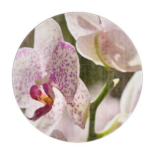 Orchids av Shirley Taylor