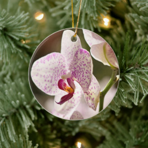 Orchids av Shirley Taylor Julgransprydnad Keramik