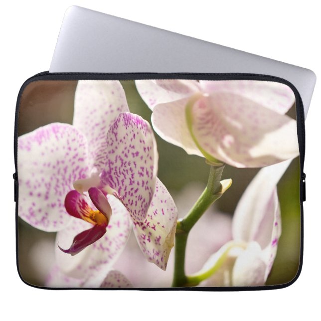 Orchids av Shirley Taylor Laptop Sleeve (Framsidan)