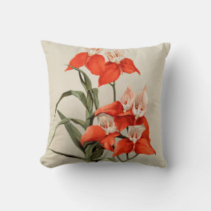 Orchids blommar blommande Vintage Gamla illustrati Kudde