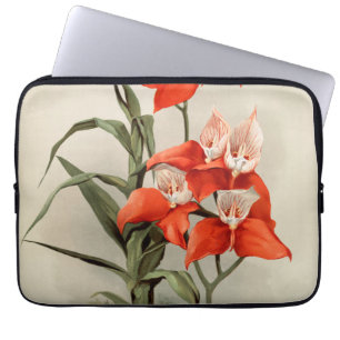 Orchids blommar blommande Vintage Gamla illustrati Laptop Fodral