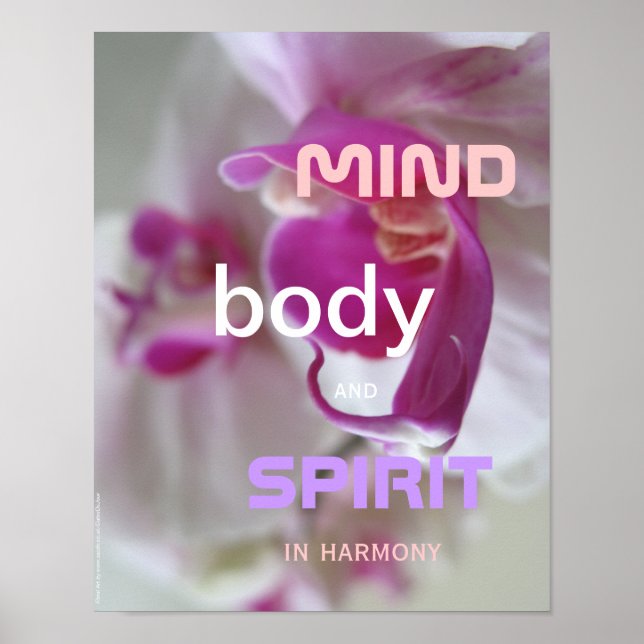 Orchids Blommigt Art Zen Health Poster (Framsidan)