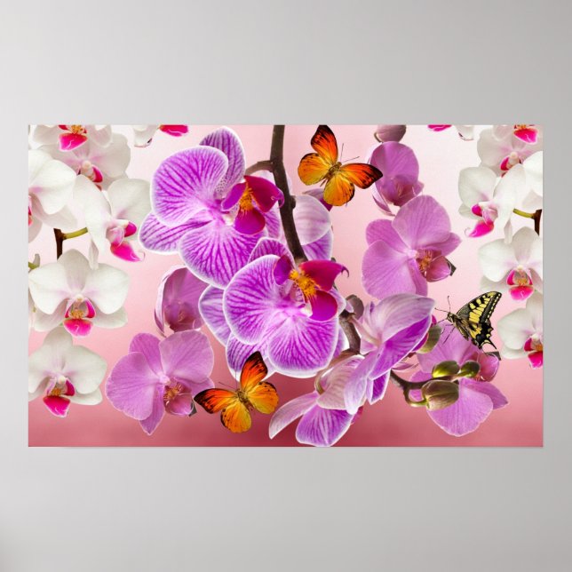 Orchids & Butterflies Poster (Framsidan)