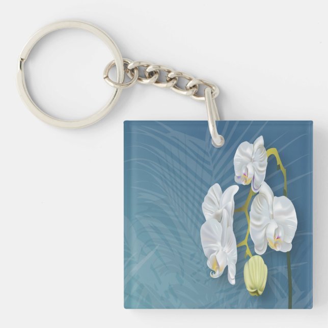 Orchids & Ferns (Framsidan)