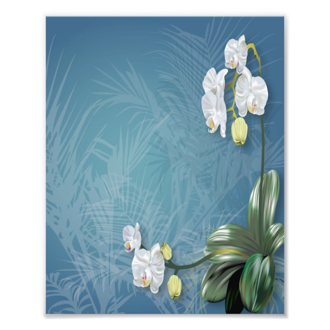 Orchids & Ferns Fototryck (Framsidan)