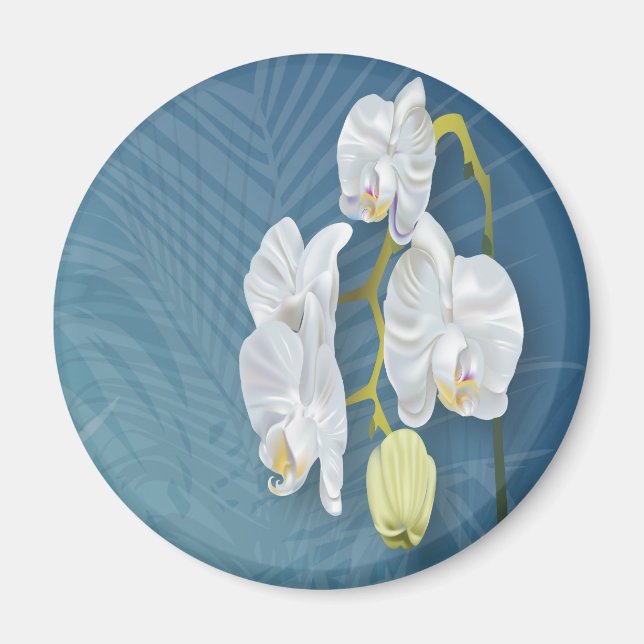 Orchids & Ferns Magnet (Framsidan)
