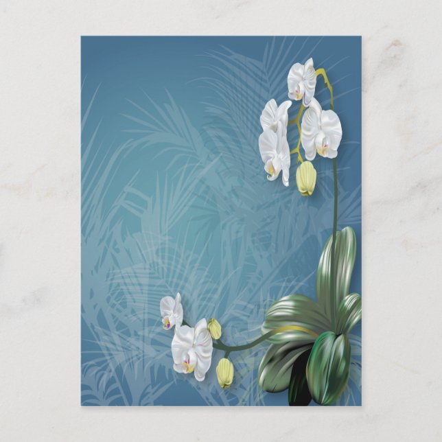 Orchids & Ferns Vykort (Framsida)