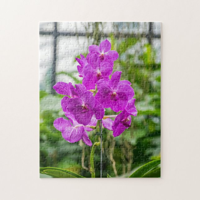 Orchids fotopussel (Vertikal)