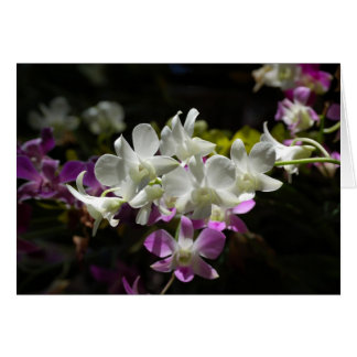 Orchids Hälsningskort