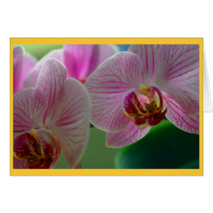 Orchids Hälsningskort