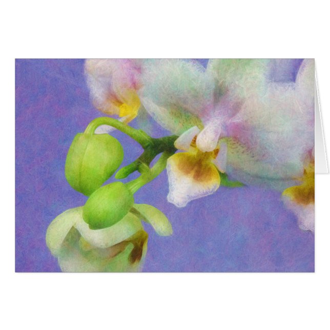 Orchids Hälsningskort (Framsidan Horizontal)