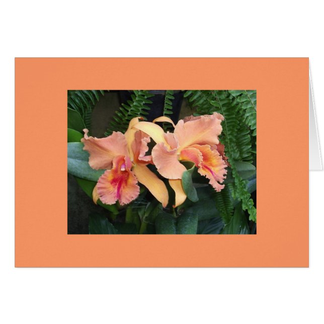 Orchids Hälsningskort (Framsidan Horizontal)