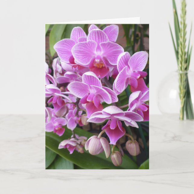 Orchids Helgkort (Framsida)