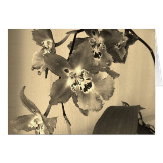 orchids i sepia tonar hälsningskort
