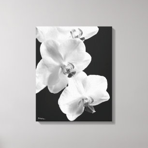 Orchids i svartvitt canvastryck
