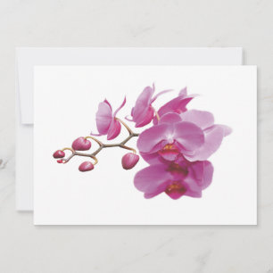 Orchids Inbillad Bröllop Paket Sets Kits