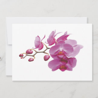 Orchids Inbillad Bröllop Paket Sets Kits
