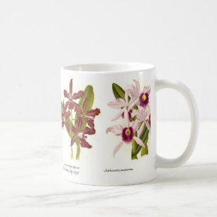 Orchids Kaffemugg