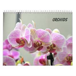 Orchids Kalender