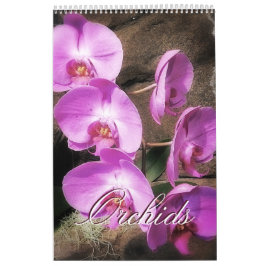 Orchids Kalender