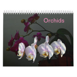 Orchids Kalender