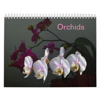 Orchids Kalender