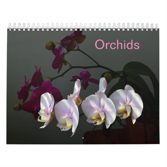 Orchids Kalender (Omslag)