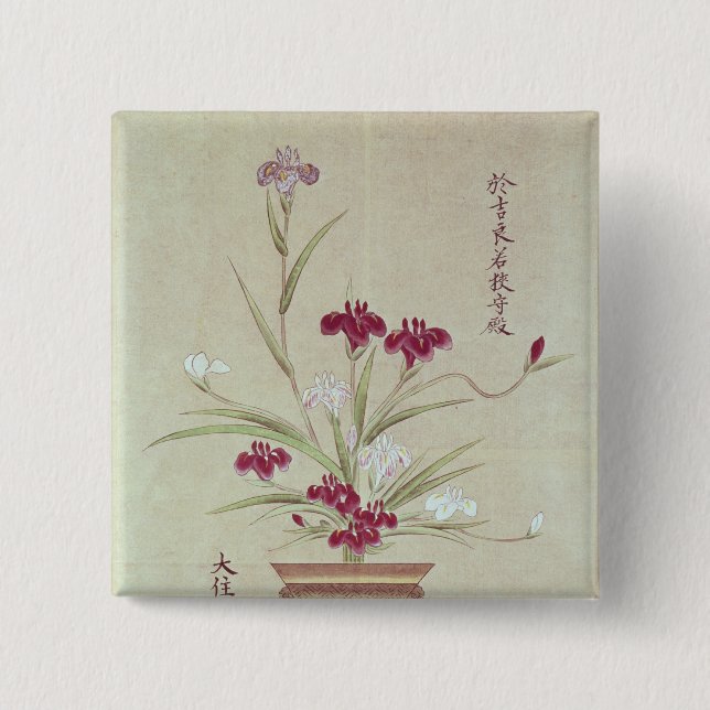 Orchids Knapp (Framsida)