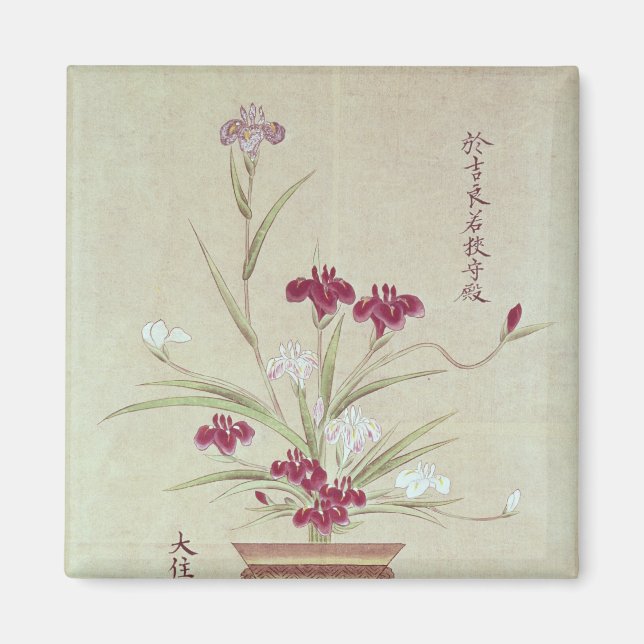 Orchids Magnet (Framsidan)