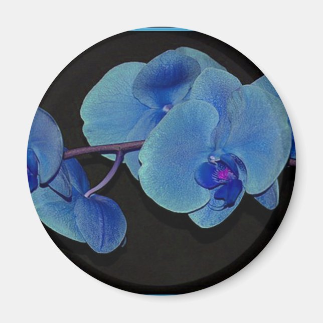 Orchids Magnet (Framsidan)