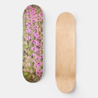 Orchids Mini Skateboard Bräda 18,5 Cm