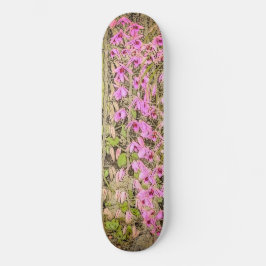 Orchids Mini Skateboard Bräda 18,5 Cm