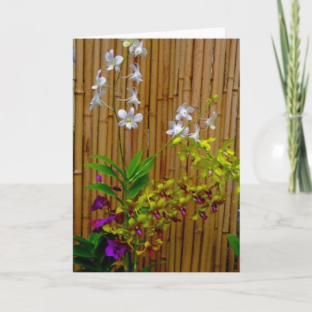 Orchids och Bamboo Kort (Framsida)