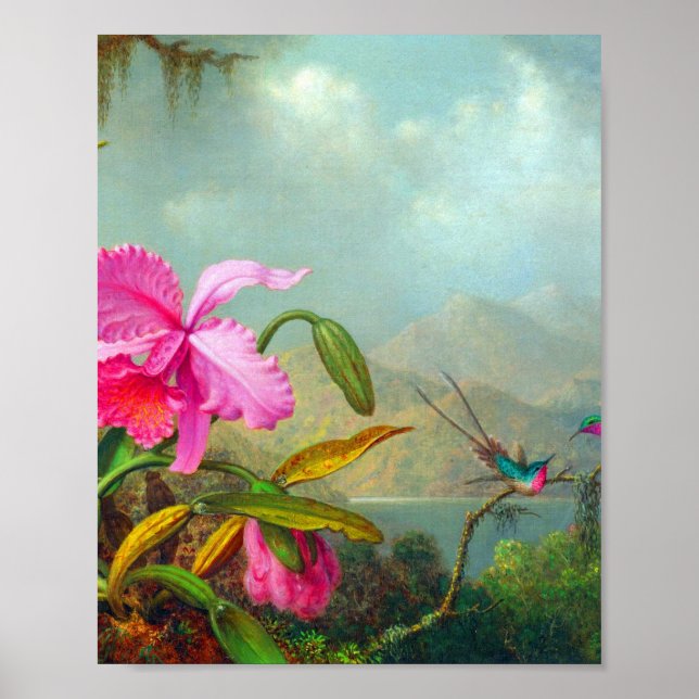Orchids och Hummingbird av Martin Johnson Heade Poster (Framsidan)