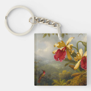 Orchids och Hummingbird Heade