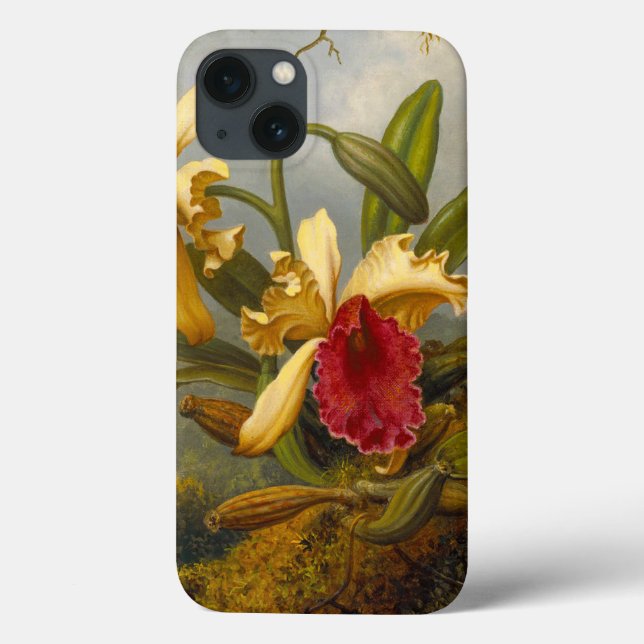 Orchids och Hummingbird Heade (Baksida)