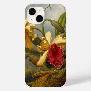 Orchids och Hummingbird Heade