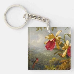 Orchids och Hummingbird Heade