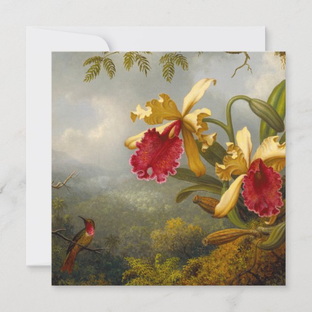 Orchids och Hummingbird Heade Inbjudningar (Framsida)